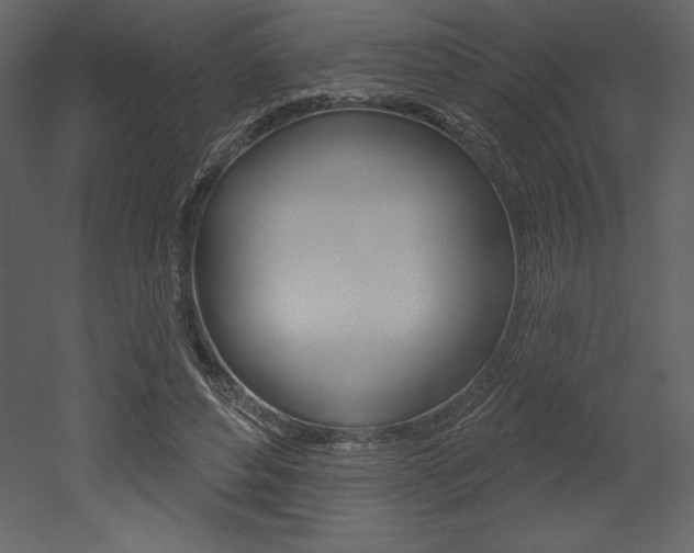 X0000053000496200507080959