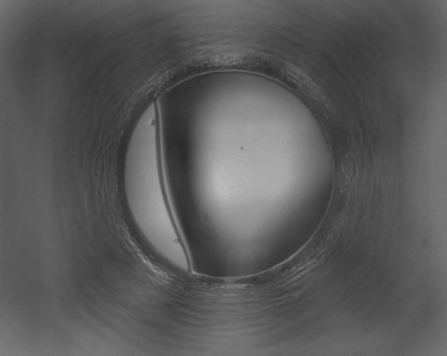X0000053000497200507080959