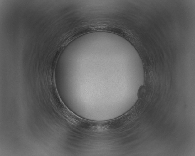 X0000053000498200507080959
