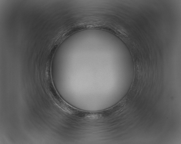 X0000053000499200507080959