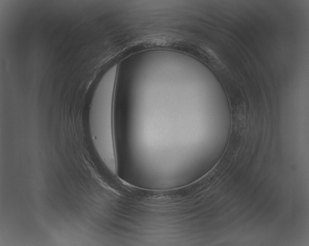 X0000053000500200507080959