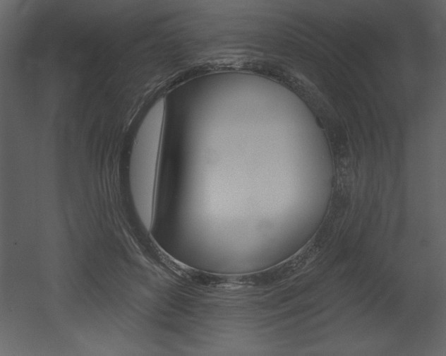 X0000053000504200507080959