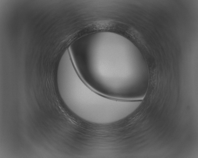 X0000053000505200507080959