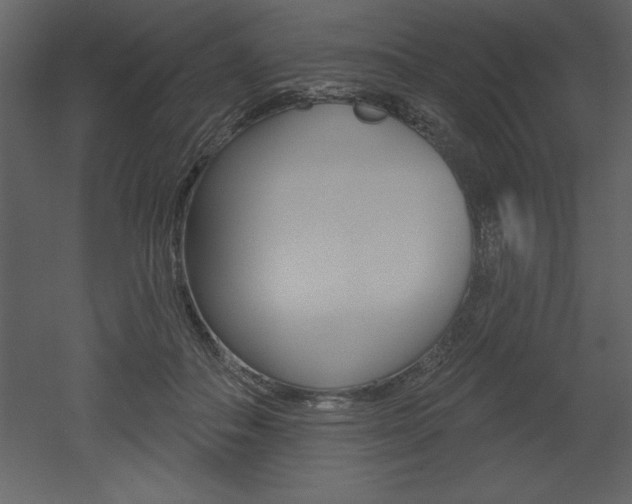 X0000053000506200507080959