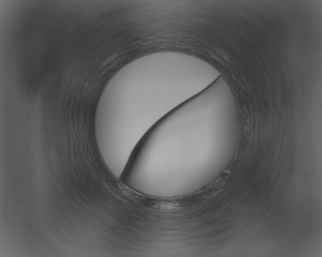 X0000053000507200507080959