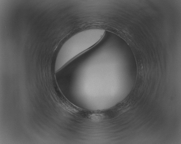 X0000053000508200507080959