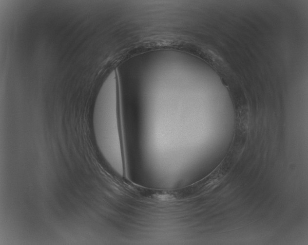X0000053000509200507080959