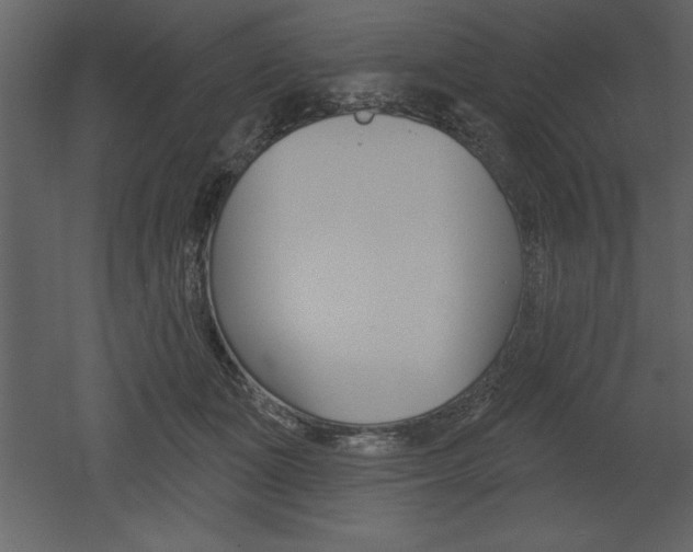 X0000053000511200507080959