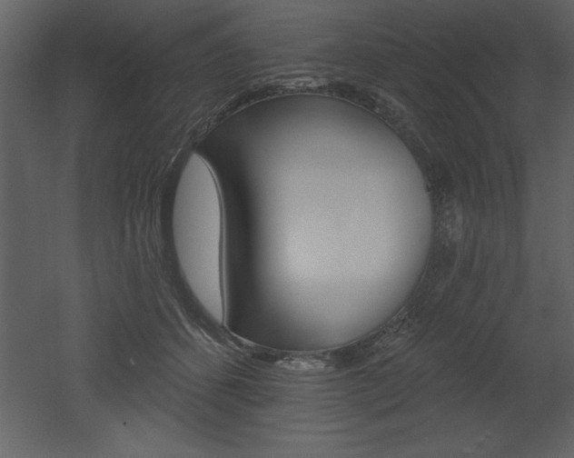 X0000053000512200507080959