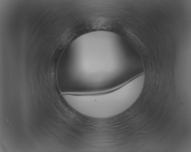 X0000053000513200507080959