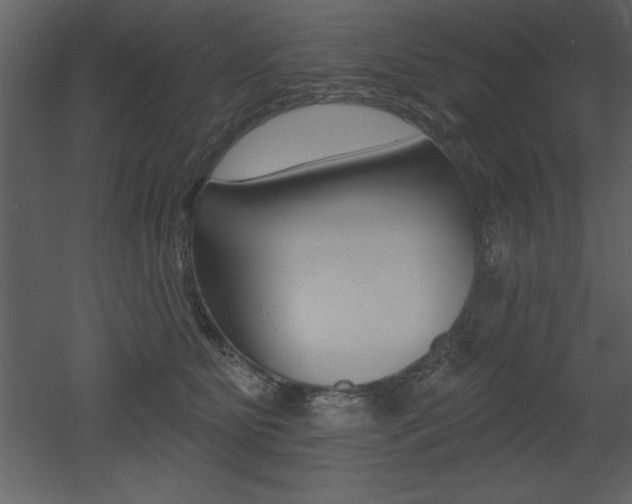 X0000053000515200507080959