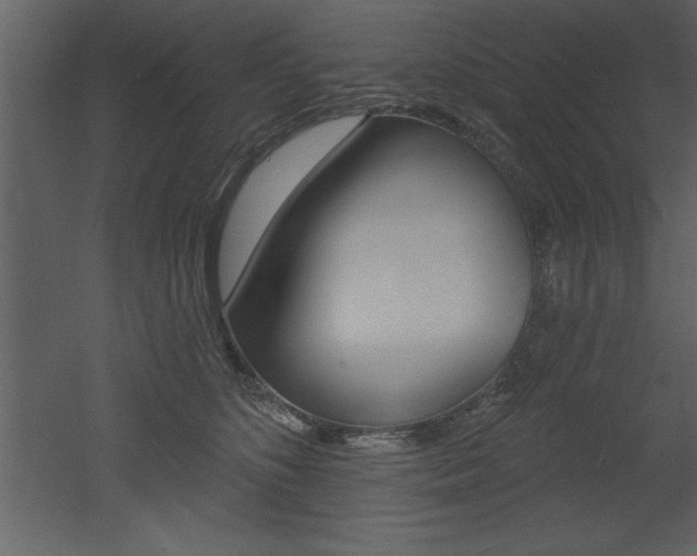 X0000053000516200507080958