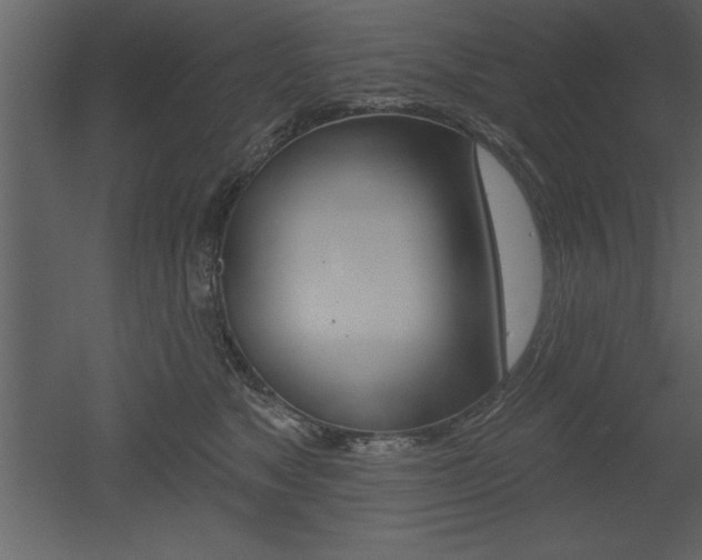 X0000053000517200507080958