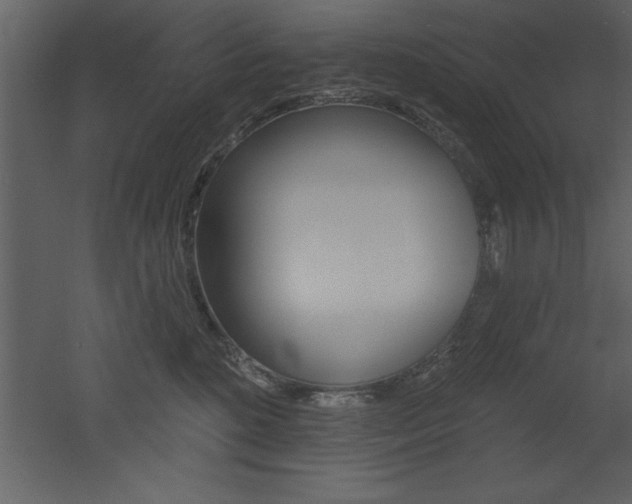 X0000053000520200507080958