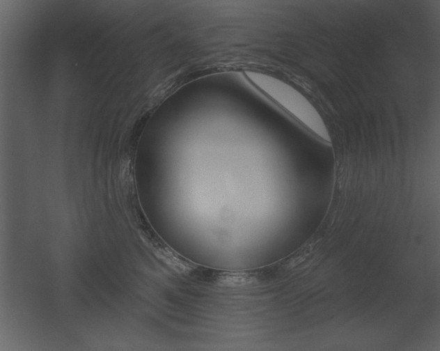 X0000053000521200507080958