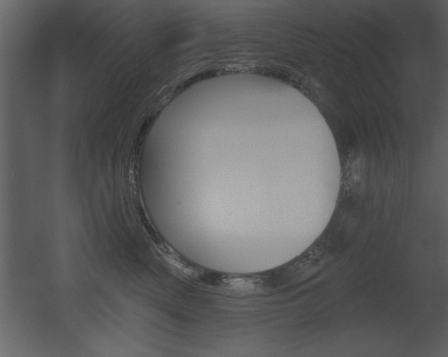 X0000053000522200507080958