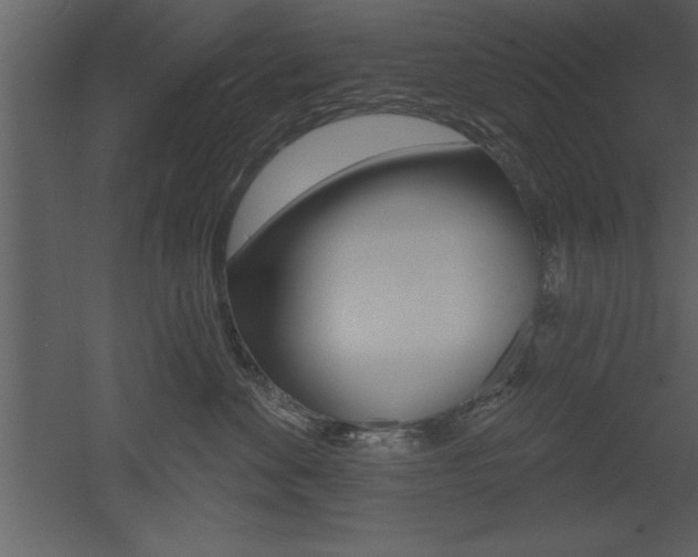 X0000053000524200507080958