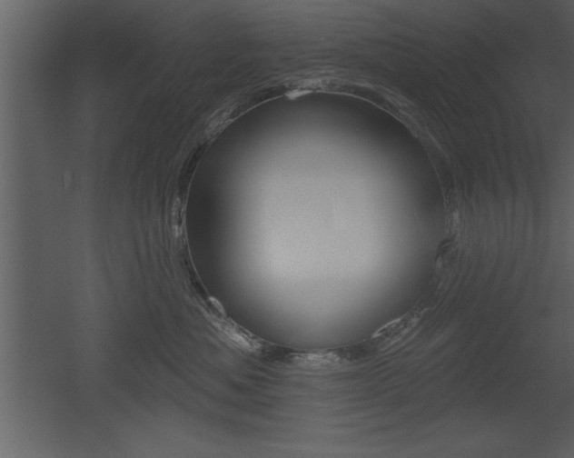 X0000053000525200507080958