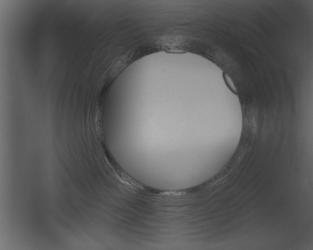 X0000053000526200507080958