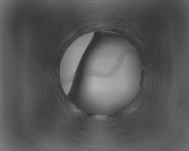 X0000053000528200507080958