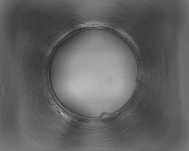 X0000053000529200507080957
