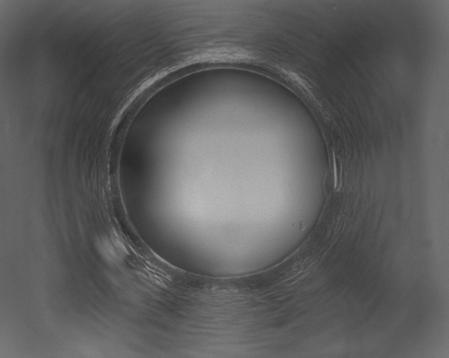 X0000053000531200507080957