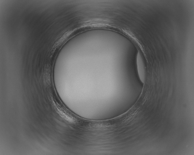 X0000053000533200507080958