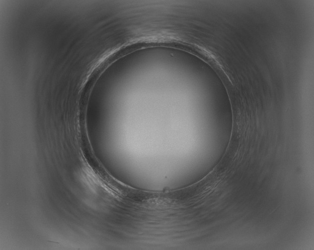 X0000053000535200507080958