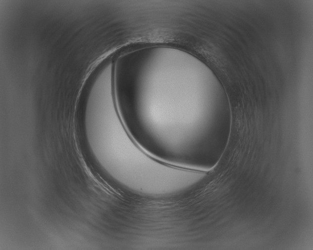 X0000053000536200507080958