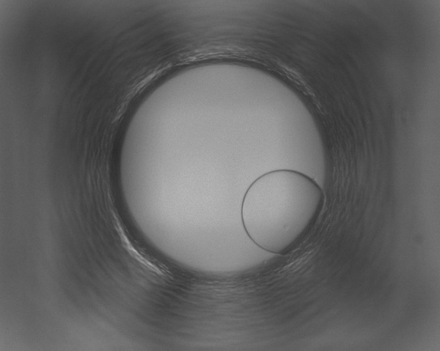 X0000053000538200507080958