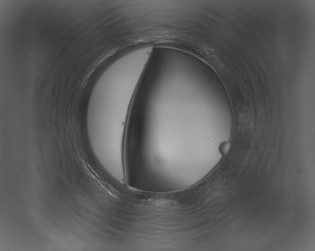 X0000053000539200507080958