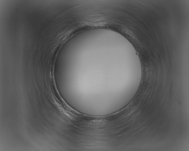 X0000053000541200507080958