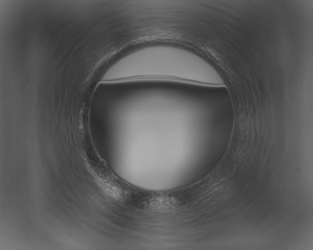 X0000053000543200507080958