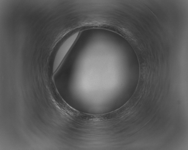 X0000053000544200507080958