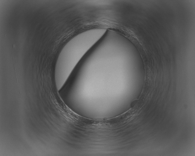 X0000053000545200507080958