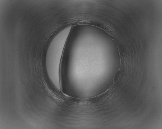 X0000053000546200507080958