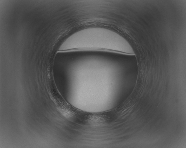 X0000053000547200507080958