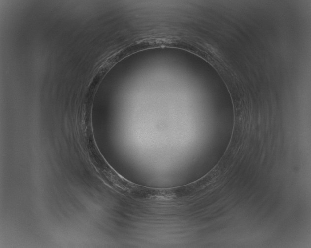 X0000053000548200507080958