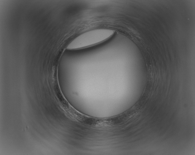 X0000053000550200507080958