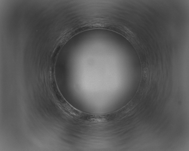 X0000053000552200507080958