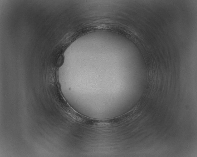 X0000053000554200507080958
