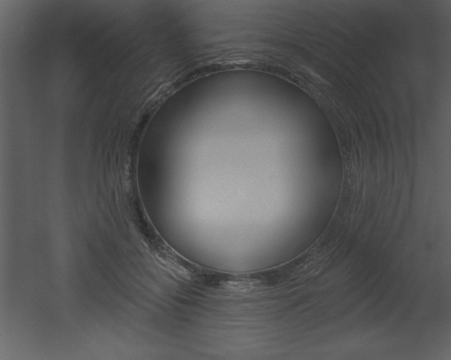 X0000053000556200507080958