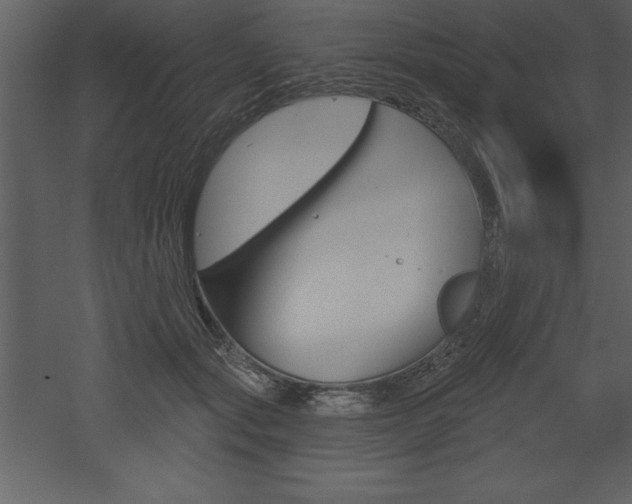 X0000053000557200507080958