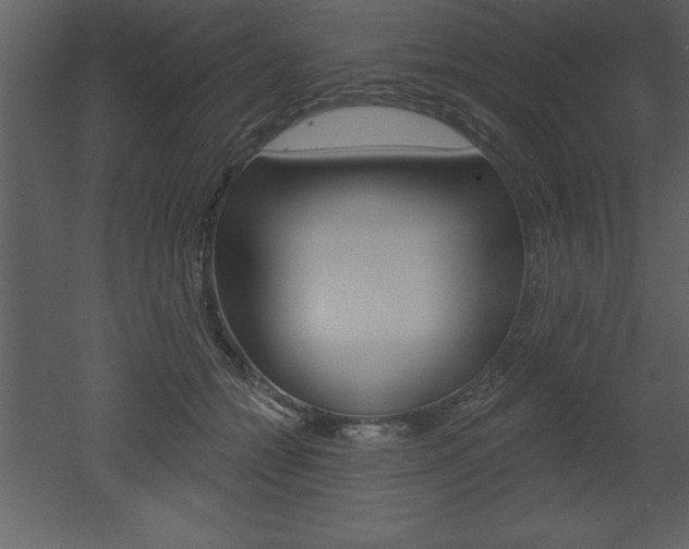 X0000053000558200507080958