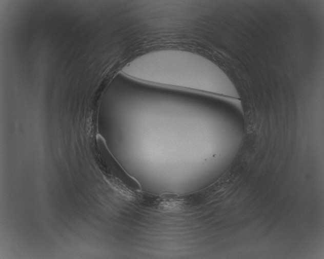 X0000053000560200507080958