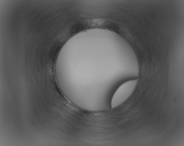 X0000053000561200507080958