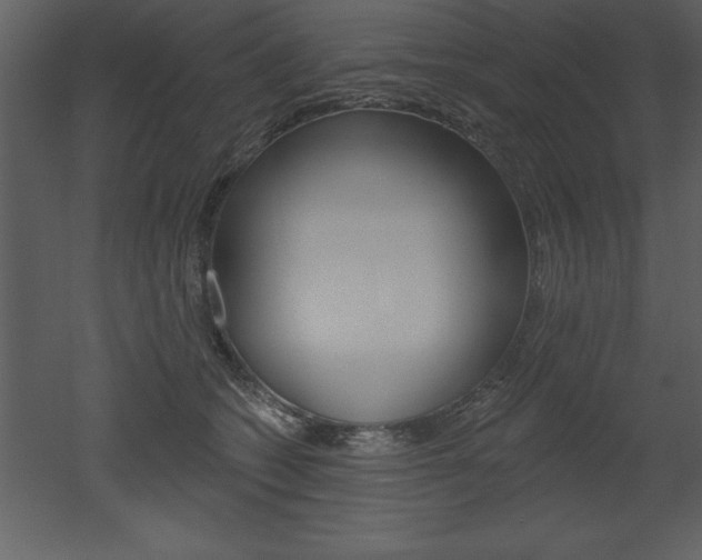 X0000053000562200507080958
