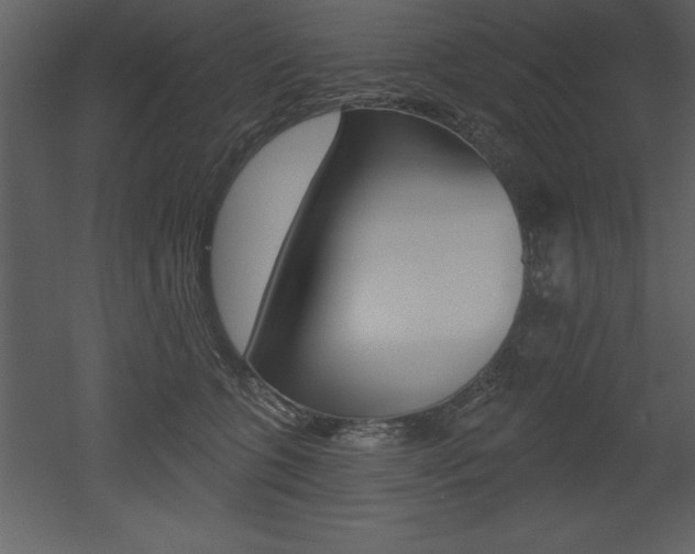 X0000053000563200507080958