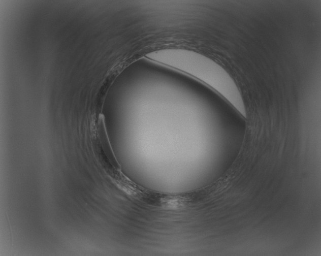 X0000053000564200507080958