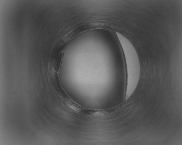 X0000053000566200507080958
